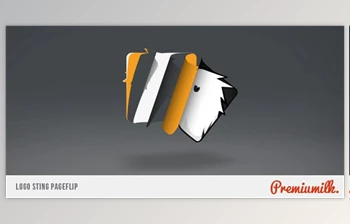 Logo Sting Page <span class='badge badge-warning'>Flip</span> (Videohive 6608966)