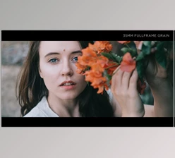 Earth FILM FEEL & GRAIN PACK – FOR ALL CAMERAS (Sellfy)
