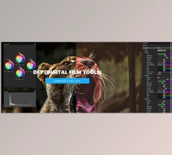 Download Digital Film Tools - Boris FX
