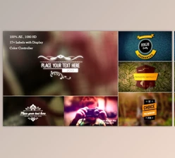 Retro Titles and Labels (Videohive 6551793)