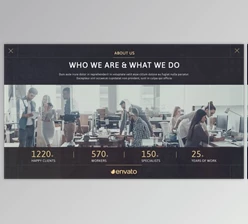 Company Business Promo (Videohive 28908010)