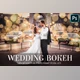Download Wedding Bokeh Overlays CreativeMarket-4934941