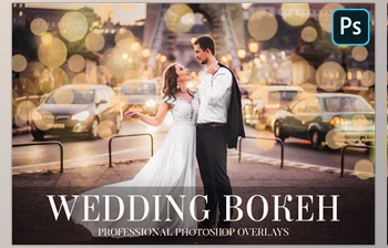 Download Wedding <span class='badge badge-warning'>Bokeh</span> Overlays CreativeMarket-4934941