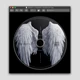 Download Drumify – Dude Clayy & Kami Osha – Divinity (Gfx Kit)