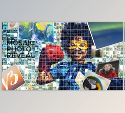 Download Mosaic Photo Reveal (Videohive 7266788)