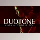 Download 3d LUTs – Duotone CreativeMarket-5027770