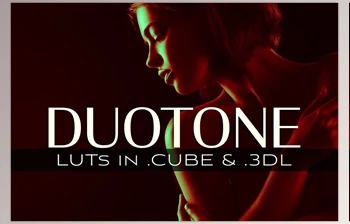 Download 3d LUTs – Duotone <span class='badge badge-warning'>CreativeMarket-5027770</span>