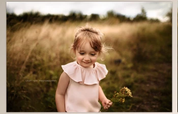 Download Ladytoriphotography – <span class='badge badge-warning'>Golden</span> Evenings Lightroom Preset