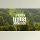 Download Glitch Titles intro, kinetic, layouts (Videohive 12804804)