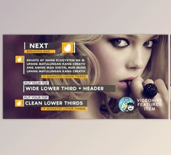 Download Lower Thirds (Videohive 8907441)