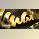 Download Golden Logo (Videohive 9331620)