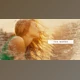 Download The Words Slideshow (Videohive 10855159)
