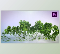 Download Flying Leaves Logo Reveal - Premiere Pro (Videohive 25159980)