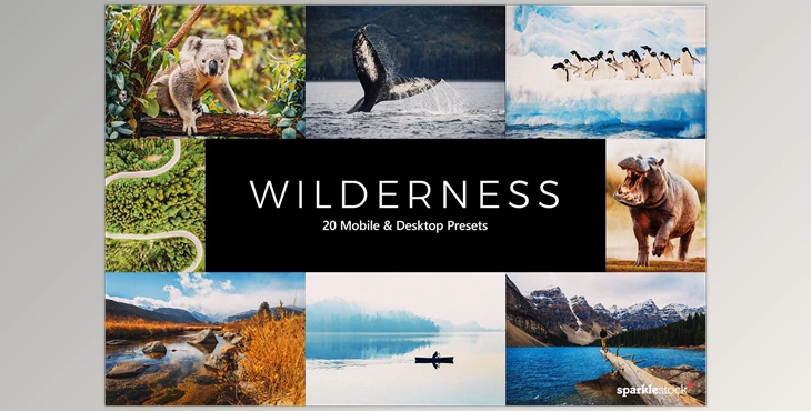 Download 20 Wilderness LR Presets CreativeMarket-5461646