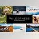 Download 20 Wilderness LR Presets CreativeMarket-5461646