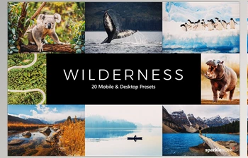Download 20 Wilderness <span class='badge badge-warning'>LR</span> <span class='badge badge-warning'>Presets</span> CreativeMarket-5461646