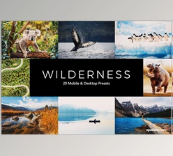 Download 20 Wilderness LR Presets CreativeMarket-5461646