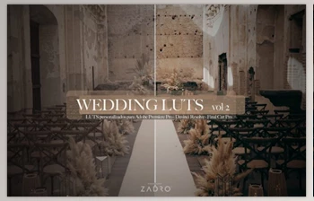 Download Rodrigozadro – Wedding Lut <span class='badge badge-warning'>2</span>