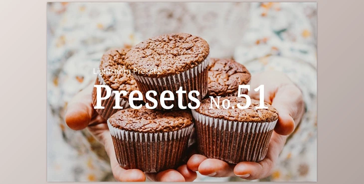 Download 10 Food Lightroom Presets CreativeMarket-5352799