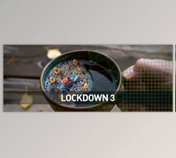 Aescripts - Download Lockdown v3.1.7 (Win, Mac-v3.1.0)