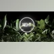 Download Neon Plants (Videohive 23702759)
