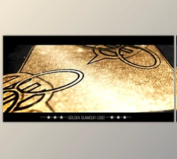 Download Golden Glamour Erotic Logo (Videohive 2055611)