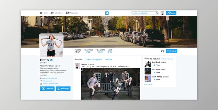 Download Twitter Promo (Videohive 19520410)