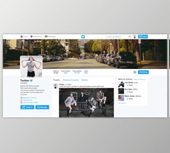 Download Twitter Promo (Videohive 19520410)