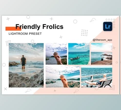 Download Friendly Frolics - Lightroom Presets CreativeMarket-5238885