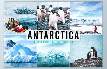Download Antarctica <span class='badge badge-warning'>Pro</span> Lightroom Presets CreativeMarket-5495663