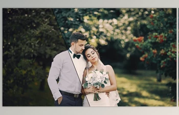 Download 50 Wedding <span class='badge badge-warning'>LUTs</span> (Look Up Tables)