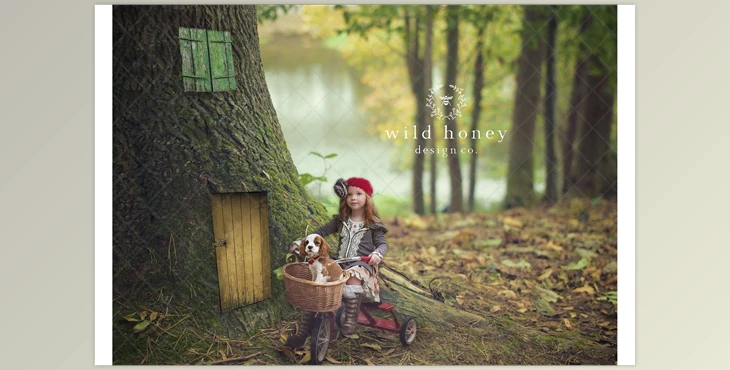 Download Fairy Door Digital Backdrop CreativeMarket-4965734 For PS