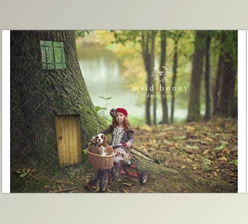 Download Fairy Door Digital Backdrop CreativeMarket-4965734 For PS