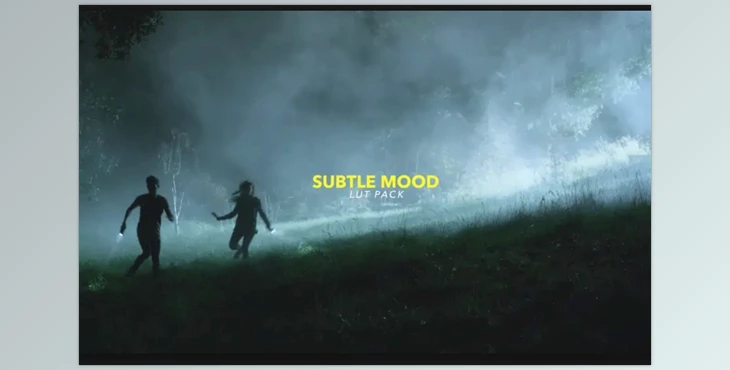 Download Tropic Colour – Subtle Mood LUTs (Win/Mac)