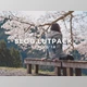 Download SLOG LUTPACK SPRING ’18 by AUXOUT