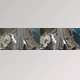 Download BLUELUTS – Pack 3 – The Cine LUTs