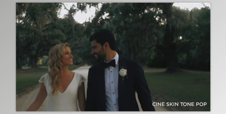 Download Travelfeels CINE LUTS PACK