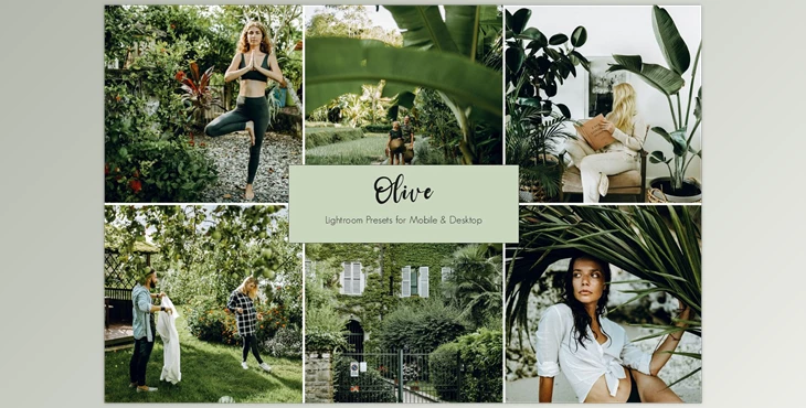 Download Olive Lightroom Presets CreativeMarket-5441487