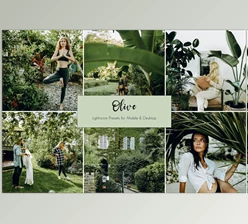 Download Olive Lightroom Presets CreativeMarket-5441487