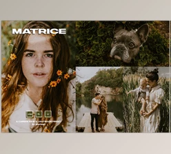 Download MustaART – Matrice – XMP Preset CreativeMarket-5435733