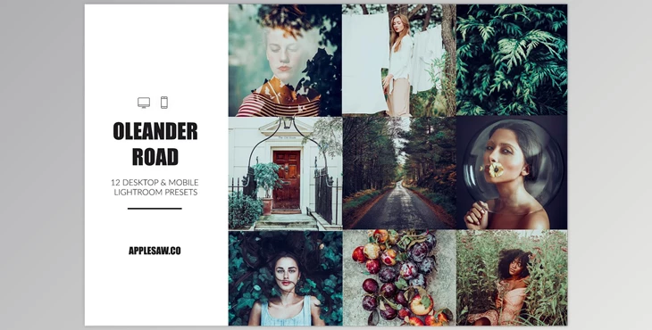 Download Oleander Road Lightroom Presets CreativeMarket-5270591