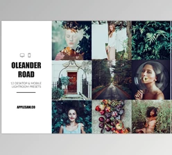Download Oleander Road Lightroom Presets CreativeMarket-5270591