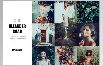 Download Oleander Road Lightroom <span class='badge badge-warning'>Presets</span> CreativeMarket-5270591