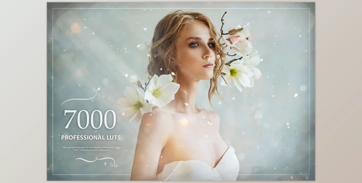 Download Eldamar-Studio – 7000+ Professional LUTs