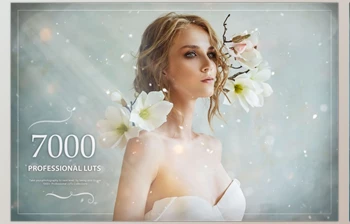 Download Eldamar-Studio – 7000+ <span class='badge badge-warning'>Professional</span> <span class='badge badge-warning'>LUTs</span>