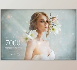 Download Eldamar-Studio – 7000+ Professional LUTs