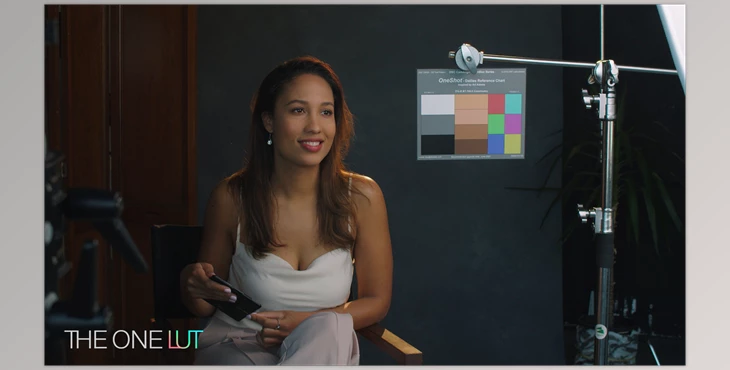 Download THE ONE LUT – BMPCC4K + 6K