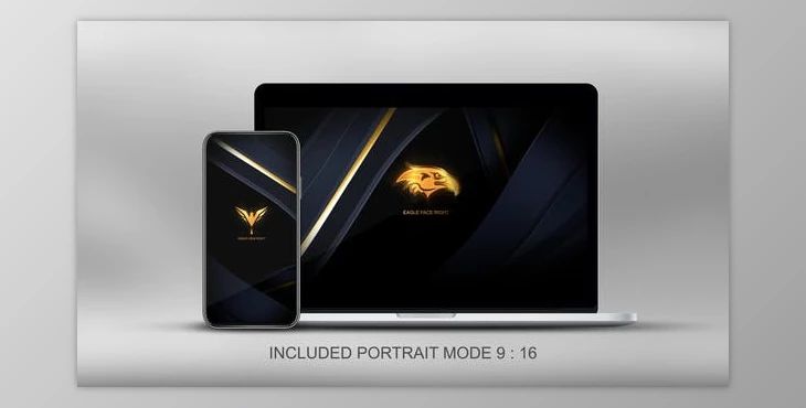 Download Quick Elegant Luxury Logo (Videohive 25800997)