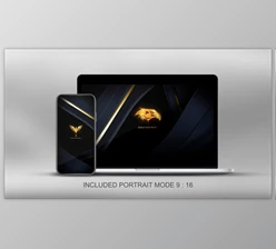 Download Quick Elegant Luxury Logo (Videohive 25800997)