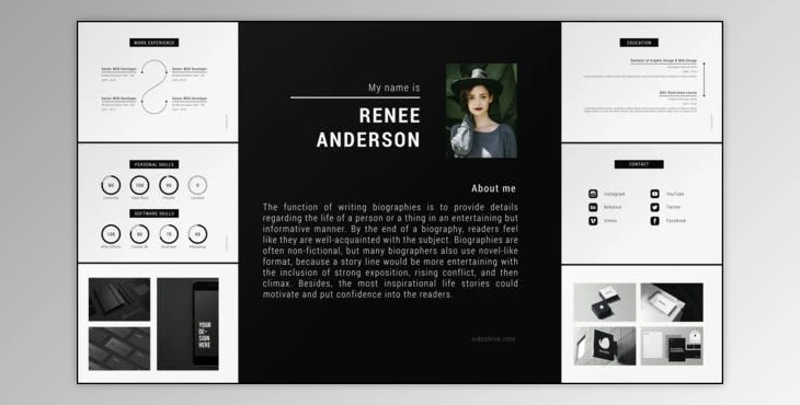 Download Portfolio CV (Videohive 23712563)